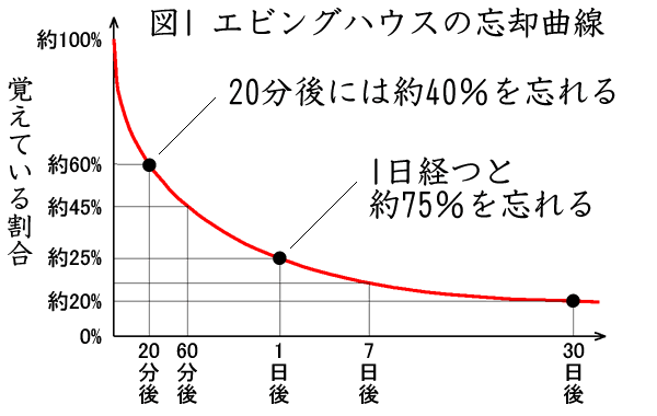 利用ガイド 忘却曲線に学ぶ